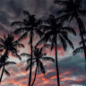 Meet your Posher, Aurora